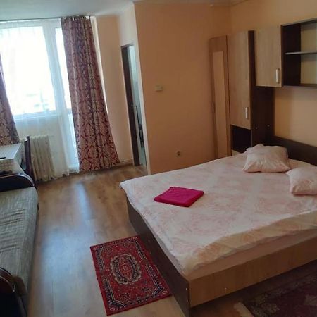 Flora Apartament Appartement Satu Mare Buitenkant foto