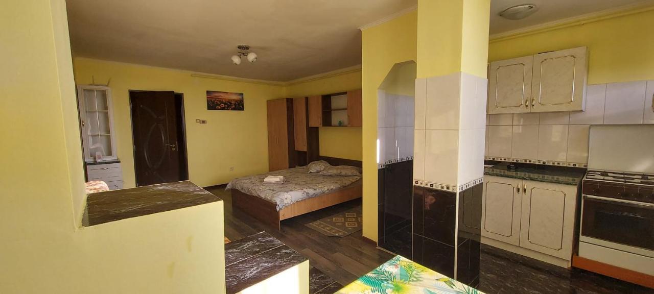 Flora Apartament Appartement Satu Mare Buitenkant foto