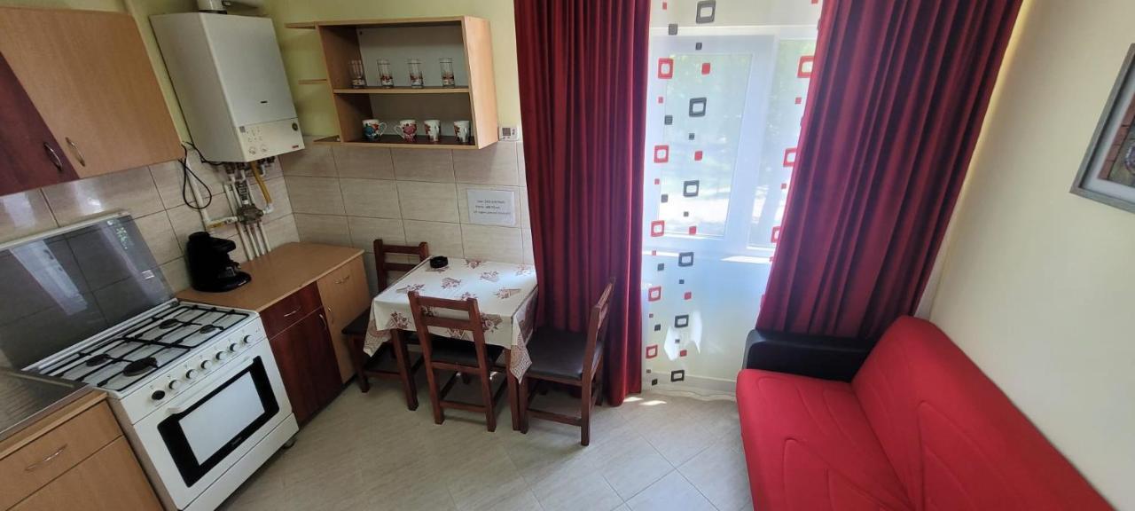 Flora Apartament Appartement Satu Mare Buitenkant foto