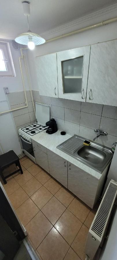 Flora Apartament Appartement Satu Mare Buitenkant foto