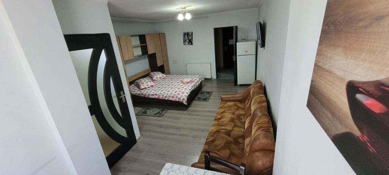 Flora Apartament Appartement Satu Mare Buitenkant foto